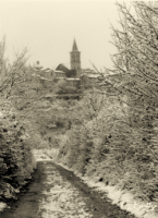 Biancospini Innevati
Spoleto 1999